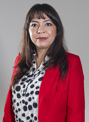 CHAMUCERO SANCHEZ LUZ ALEJANDRA