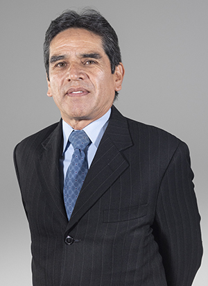 FONSECA MEDINA NESTOR RAUL