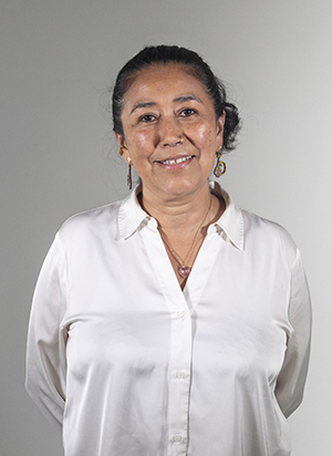 GOMEZ ROMERO ANA DOLORES