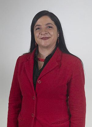 LUENGAS ALARCÓN ANA MILENA