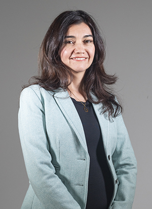 RINCÓN ROMERO ROSA INES