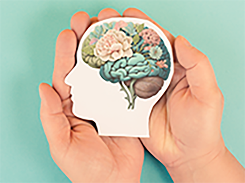 Seminario de Grado en Neurodesarrollo: evaluación y rehabilitación cognitiva