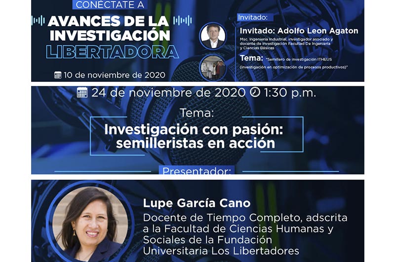 investigación online